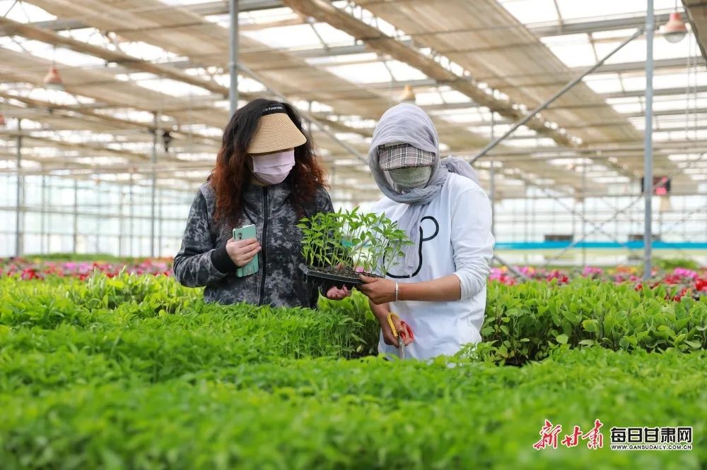 来源：新甘肃客户端