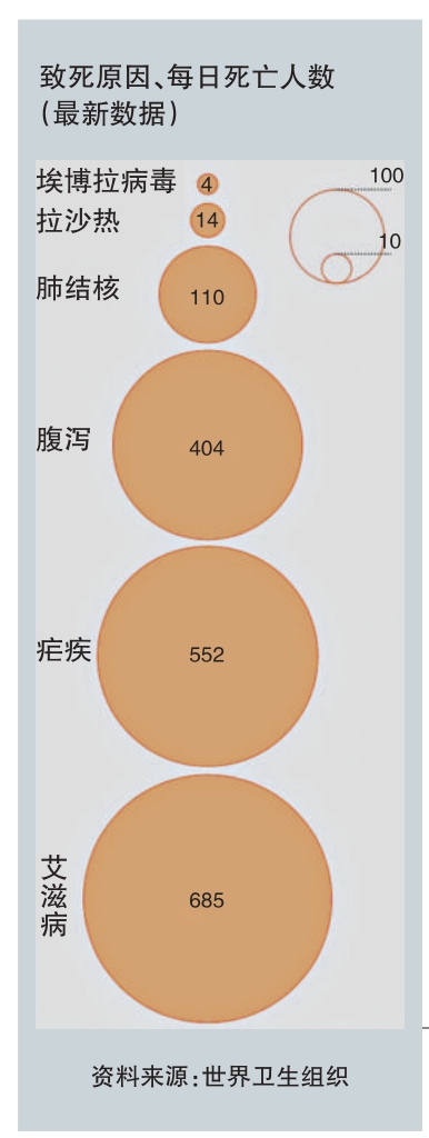 “肥尾效应”,无处不在!