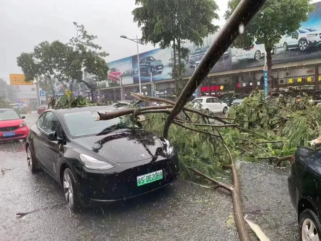 广东东莞突降暴雨多镇街被淹，一工业园多个厂房浸水，损失或超百万-股票频道-和讯网