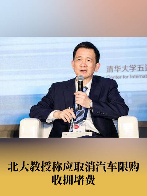 北大教授称应取消汽车限购收拥堵费
