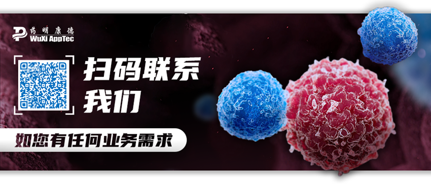 新药研究和开发的主要流程（抖音团队运营开发新药或许无需从头开始，南洋理工大学团队《自然》发文展示创新合成策略）