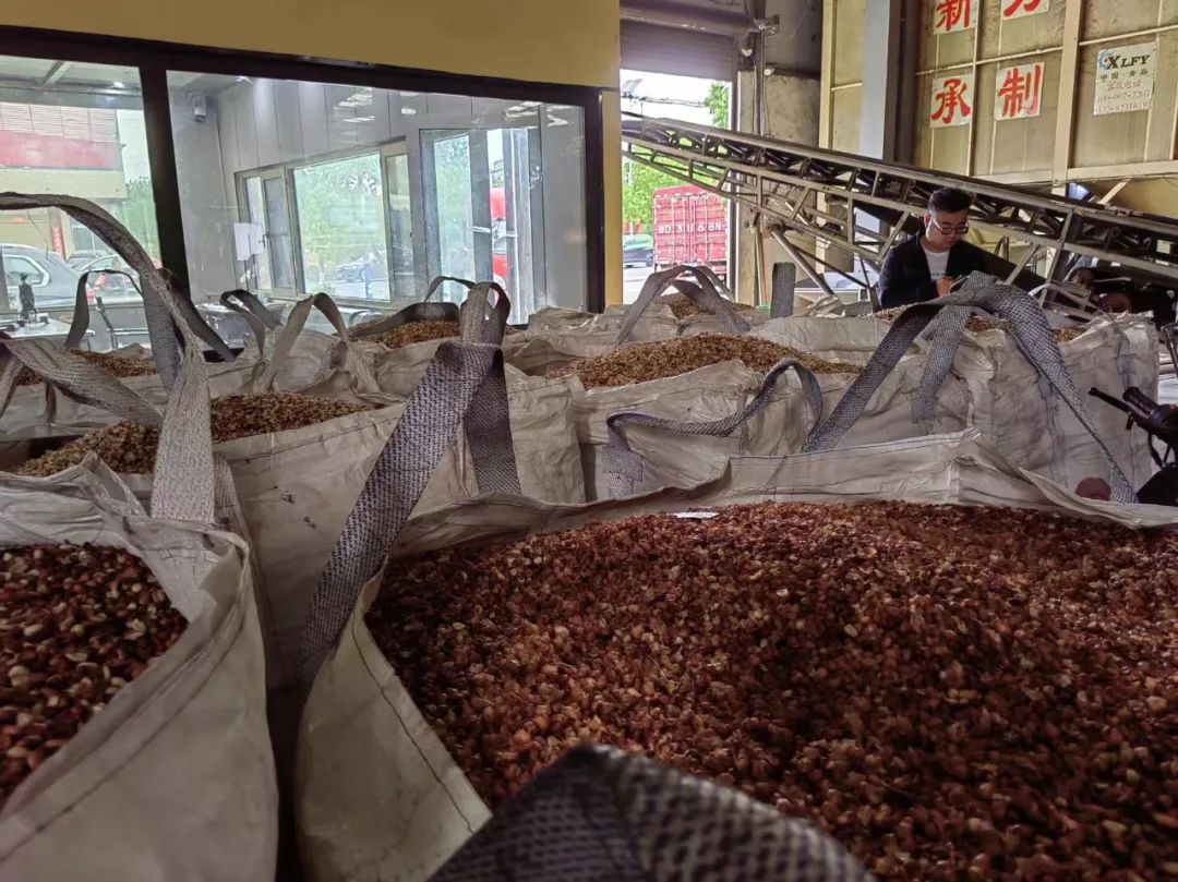 主产区今年花生种植如何，市场有什么新变化？↓↓↓看最新一线调研