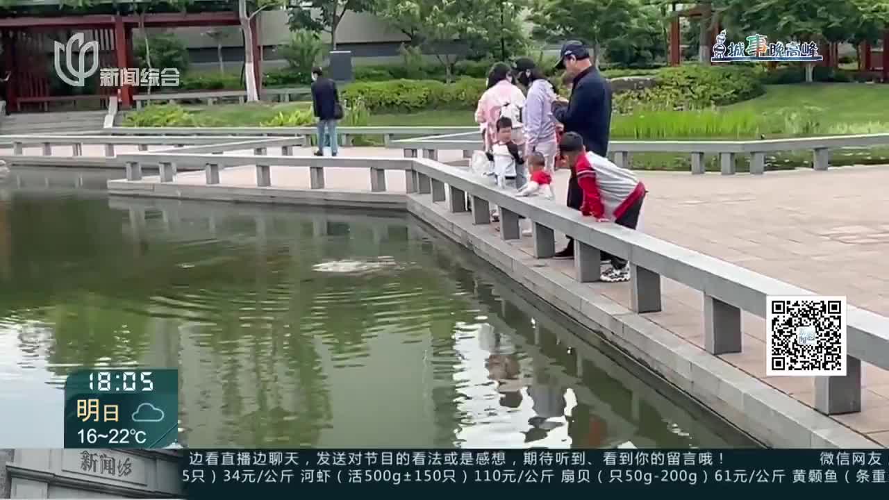 城事晚高峰:您任性的爱,动物们承受不起! 记者调查:四季公园黑天鹅死亡 疑似游客过度投喂|晚高峰_新浪新闻