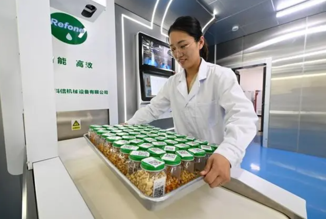 在天津市农业科学院种质资源与生物技术研究所,科研人员将一盘玉米种质资源入库。新华社记者 孙凡越 摄