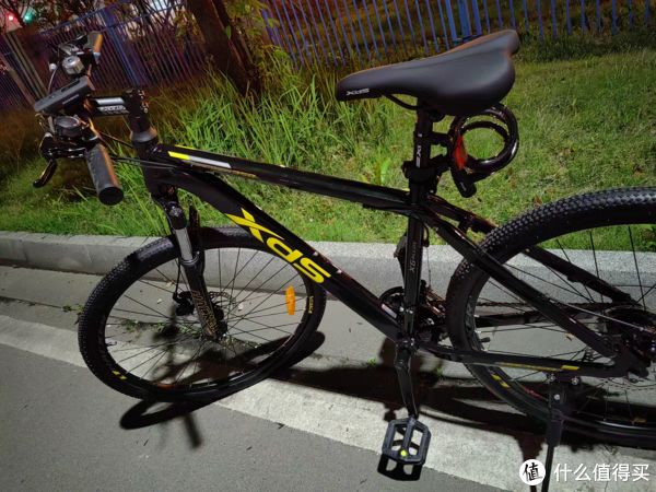 科学家注射350万年细菌 永生实验现在怎样了