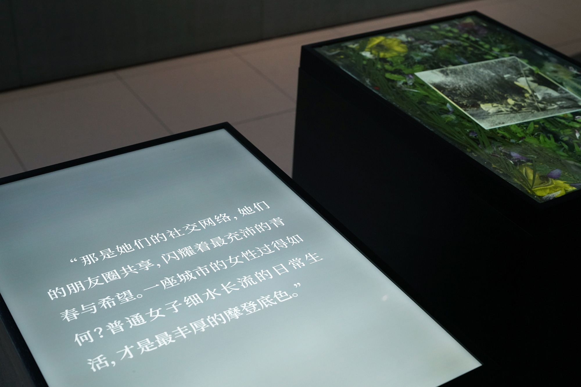 展览现场,指间沙写作的《嘉年华》节选与马良作品《彼岸花》。图片由上海市群众艺术馆 提供
