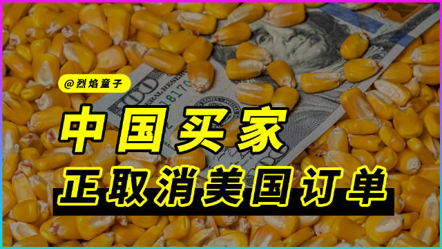 中国买家在过去的三周里，连续取消了83万吨的美国玉米订单……