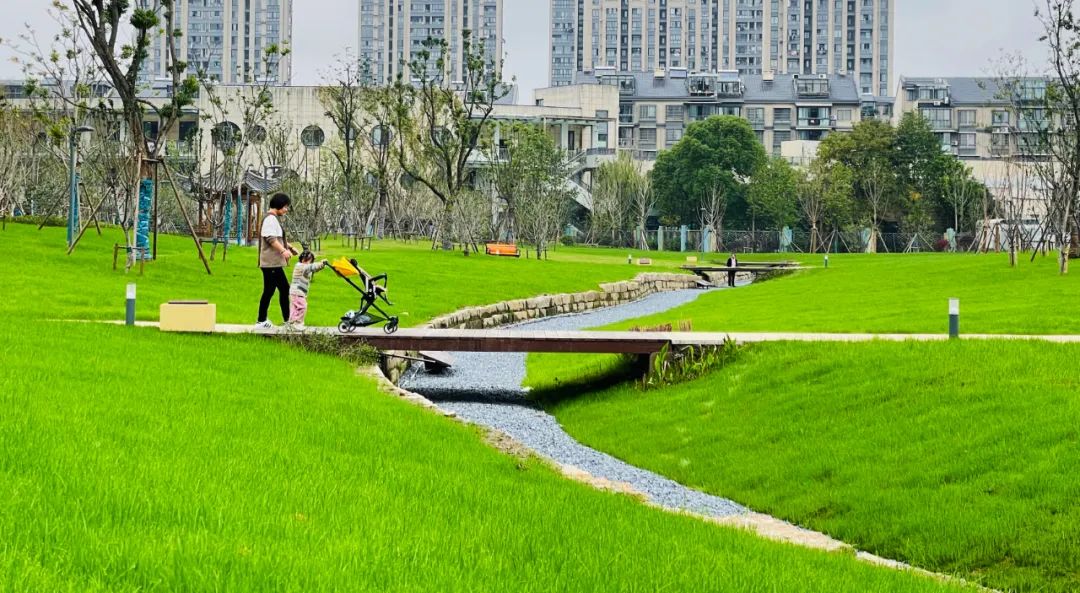 沣东足球公园属于哪,沣东足球公园属于哪个街道