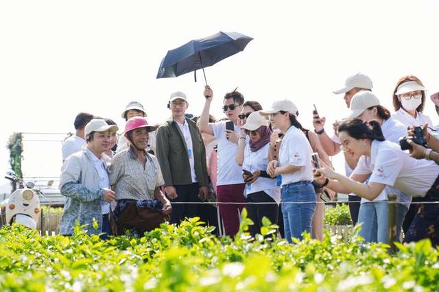 中國-東盟青年營代表走訪廣西南寧橫州的茉莉花田。圖片來源 全國青聯國際部