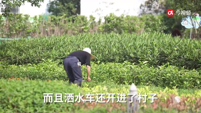 蹲点潭头村丨令人羡慕的田园生活