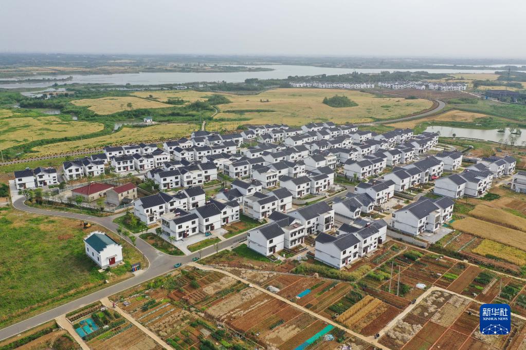 江苏句容：夏日乡村美|镇江市|句容市|江苏省|茅山|何庄村_新浪新闻