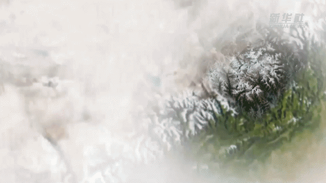 ▲印度板块与亚欧板块碰撞形成了今天的喜马拉雅山脉