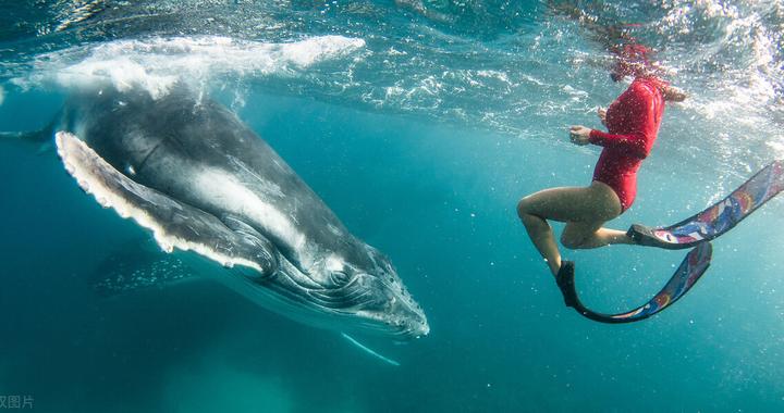 纪检机关学习贯彻十九届五中全会精神 充分发挥监督执行促进完善发之作用