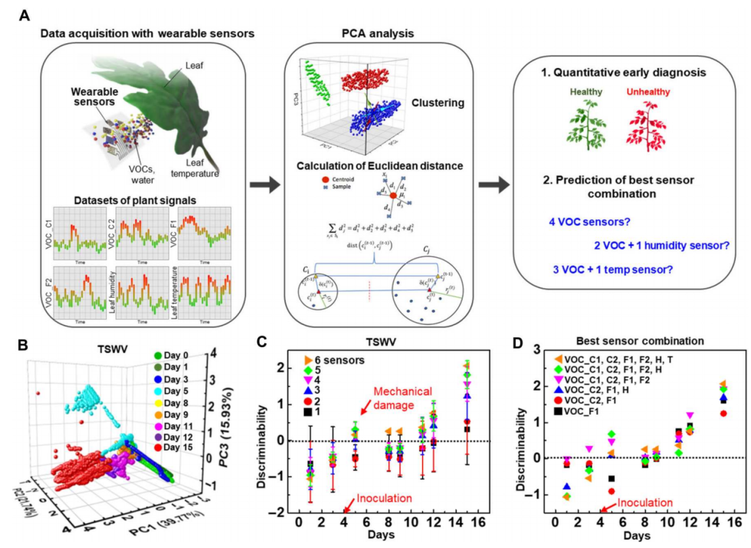 番茄“穿”上芯片更健康？北卡团队成功研发传感器芯片，可以检测植物生长