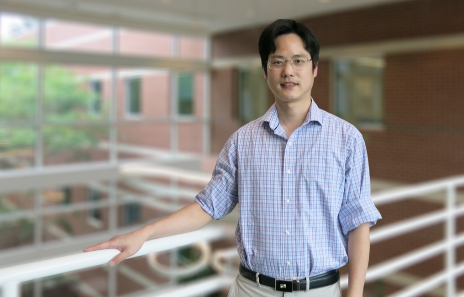 番茄“穿”上芯片更健康?北卡团队成功研发传感器芯片,可以检测植物生长