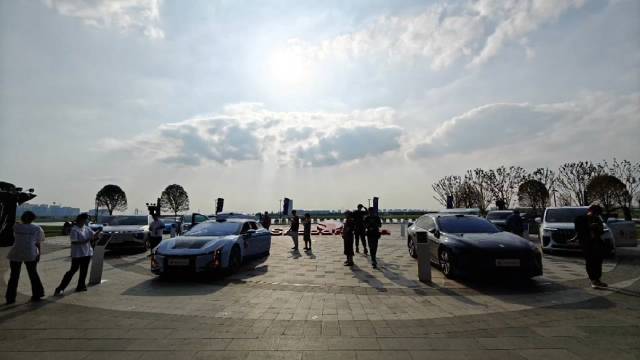 视频：随便拍拍吧，车太多了……