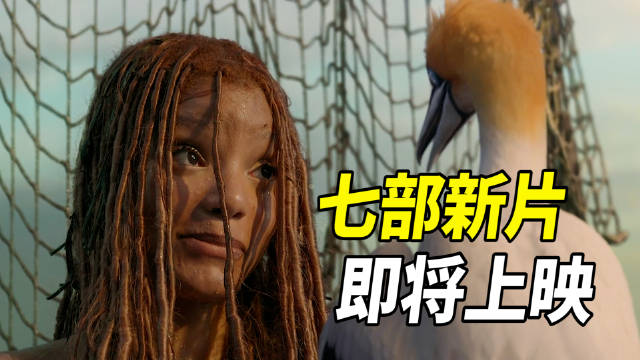 五月最后一个周末，院线竟有7部新片上映