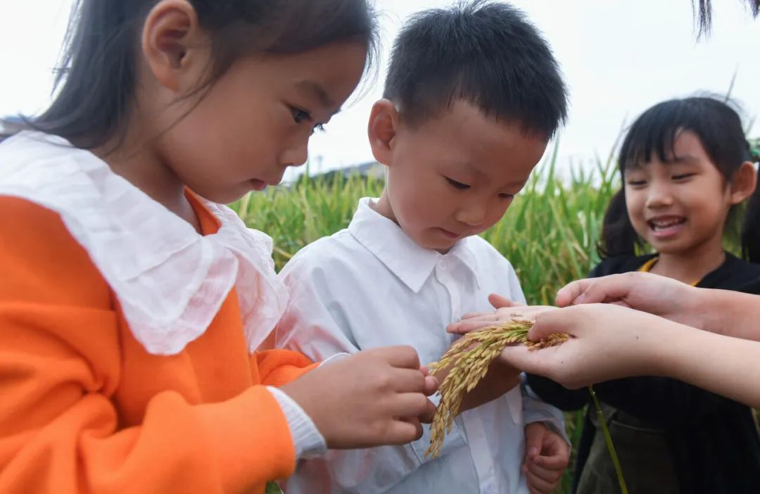 经济日报：有效整治粮食“跑冒滴漏”