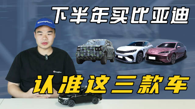 如果你们准备在今年下半年买一台比亚迪的新车……
