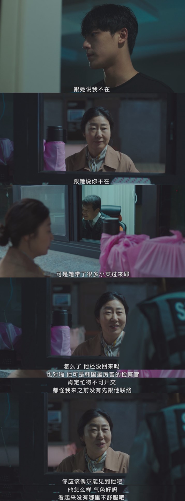 陈英顺辛苦把儿子崔强豪（李到晛 饰）培养成检察官，但儿子对她非常冷漠