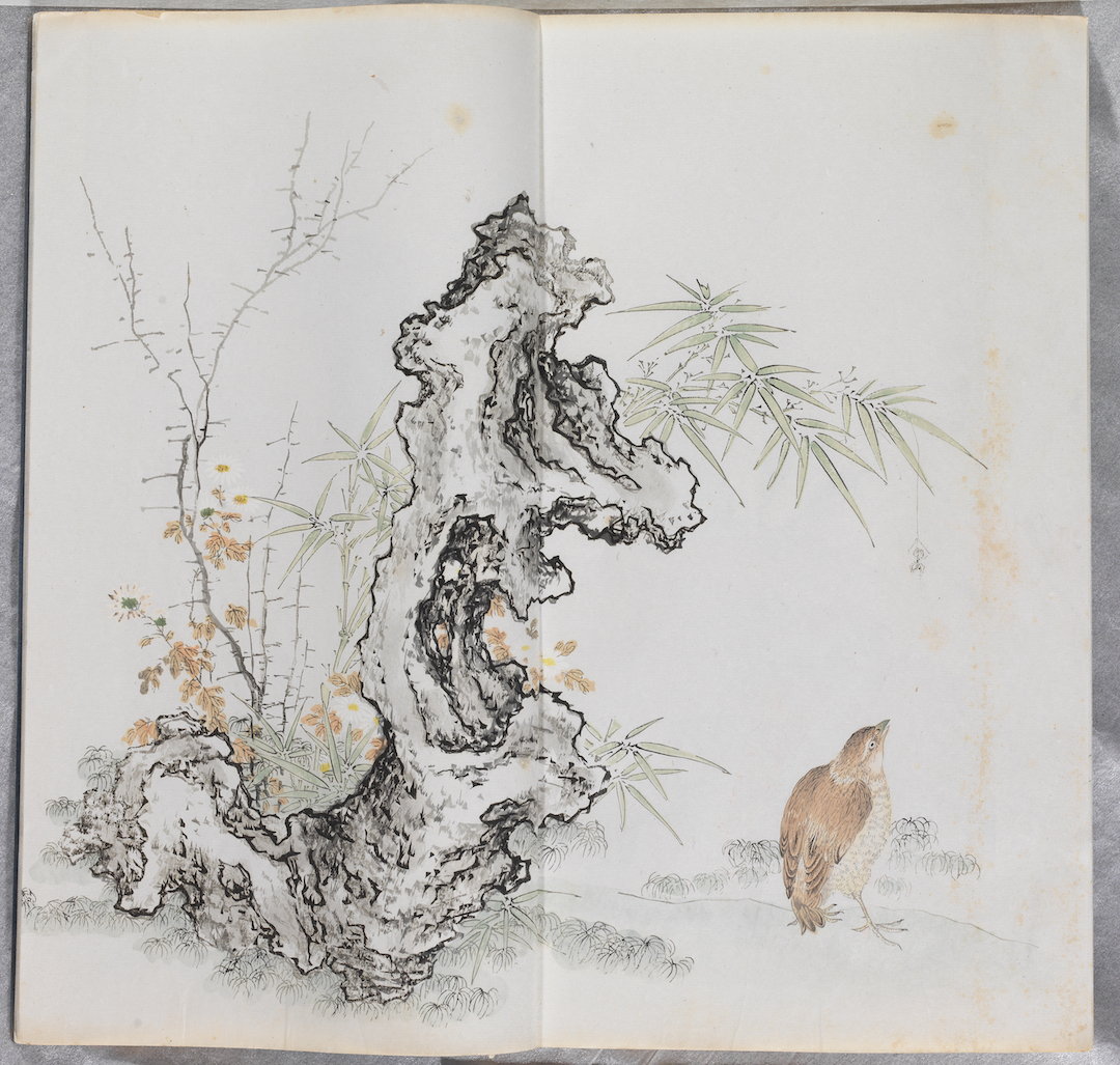 原版初印芥子园画谱1934年上海有正书局套印本一函四册