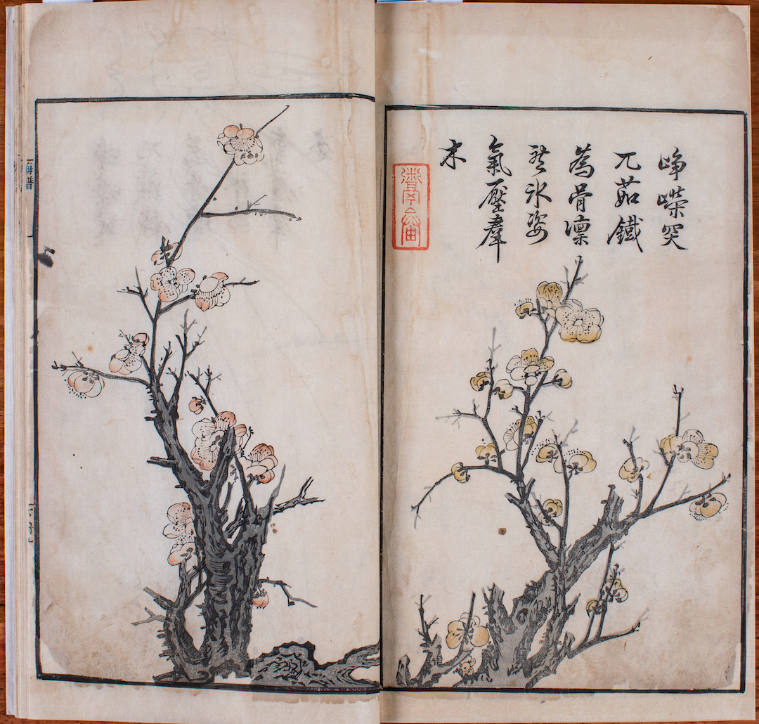 芥子园画谱二集（梅谱）清康熙四十年（1701）金陵芥子园刻本