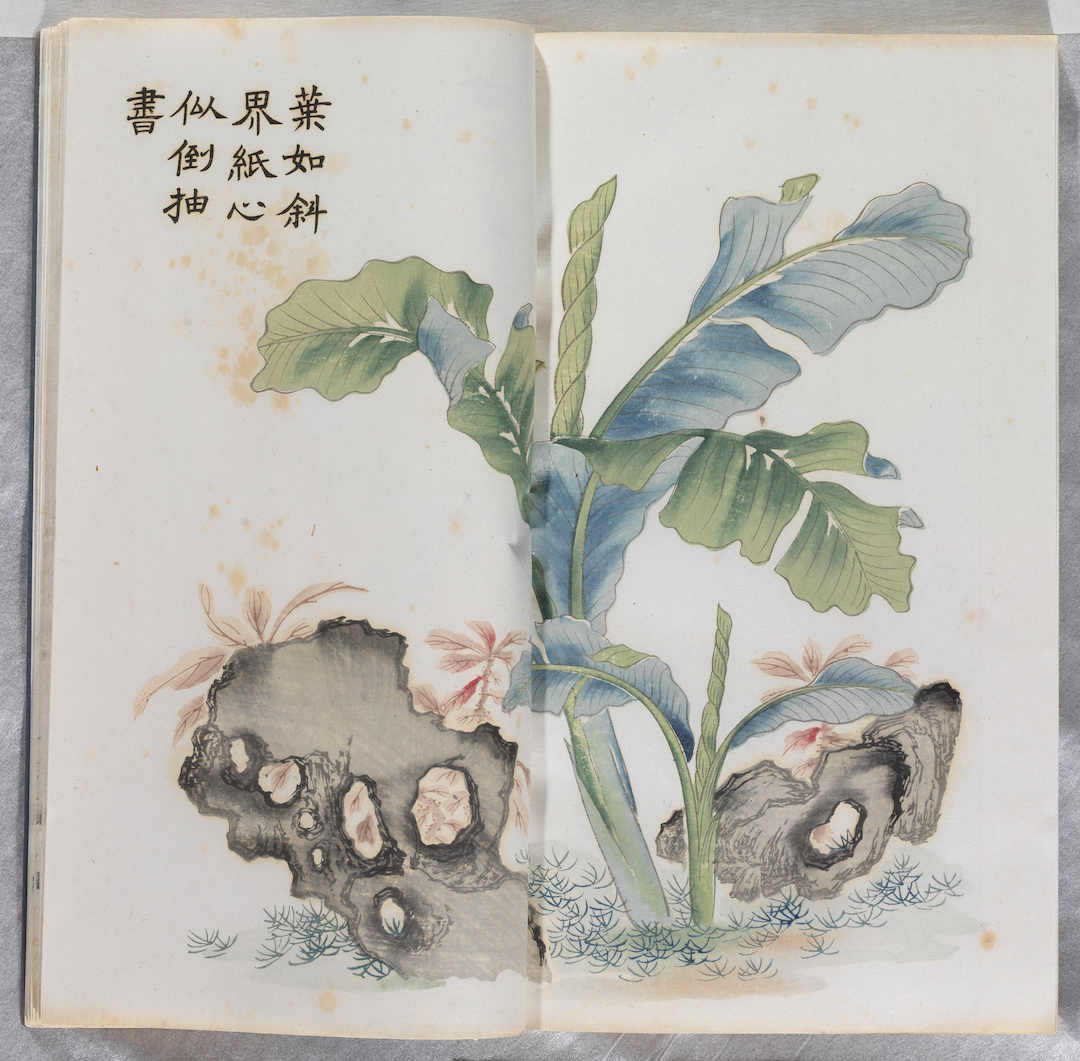 原版初印芥子园画谱1934年上海有正书局套印本一函四册