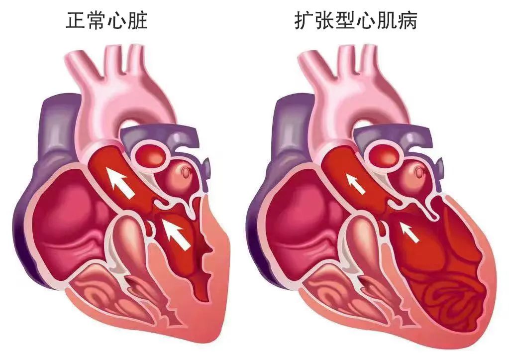 3cc3-3c2fc347ea73c3fd2cca2645cd00385c.jpg