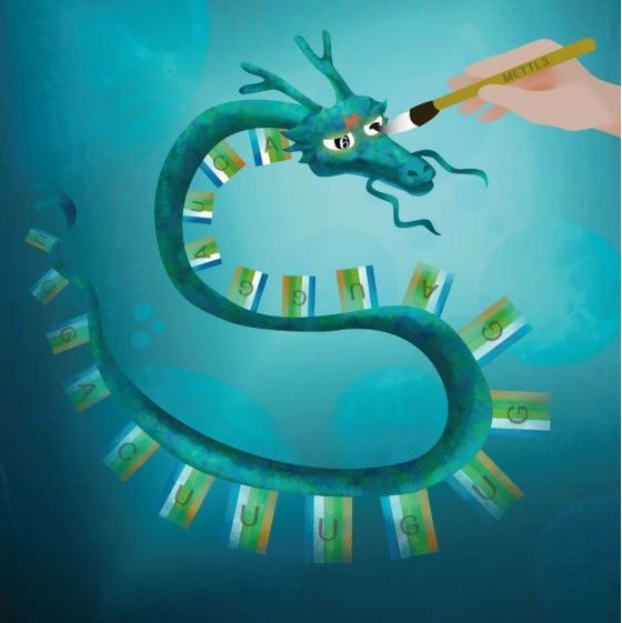 Nature Aging：刘光慧团队合作揭示 RNA m6A 修饰调控器官老化的分子机制RNA_新浪新闻