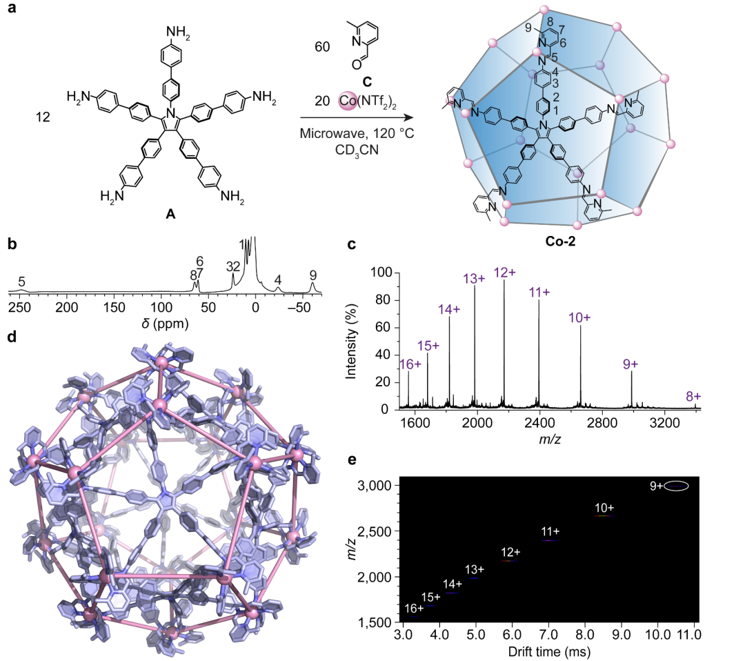 中大校友研发直径7.4nm的纳米笼，兼具大尺寸和优良封闭空腔，可用于膜蛋白结构解析及新药发现