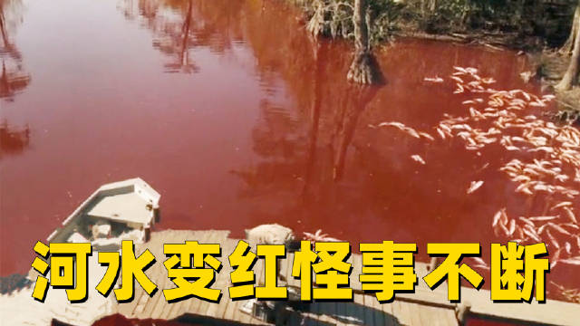 小镇河水无故变红，专家调查发现河里全是血，随后怪事不断发生