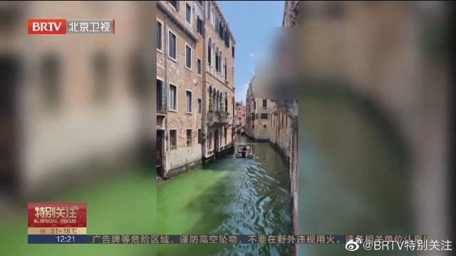 威尼斯大运河“变绿”或是人为投放荧光素所致