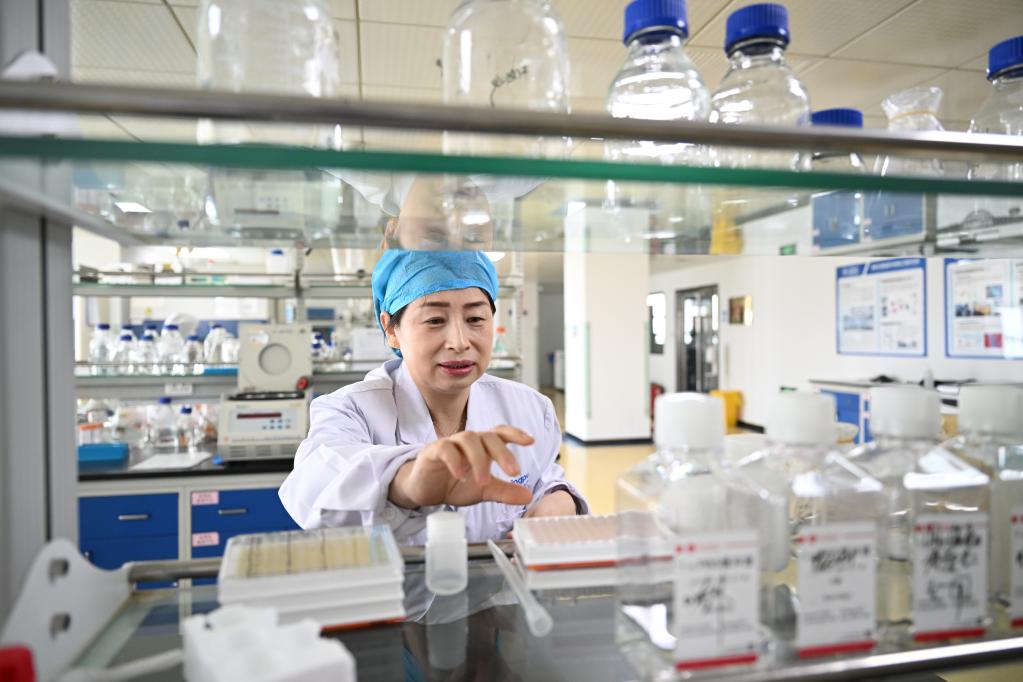 研究人員在天津瑞普生物的實驗室內工作。新華社記者 趙子碩 攝