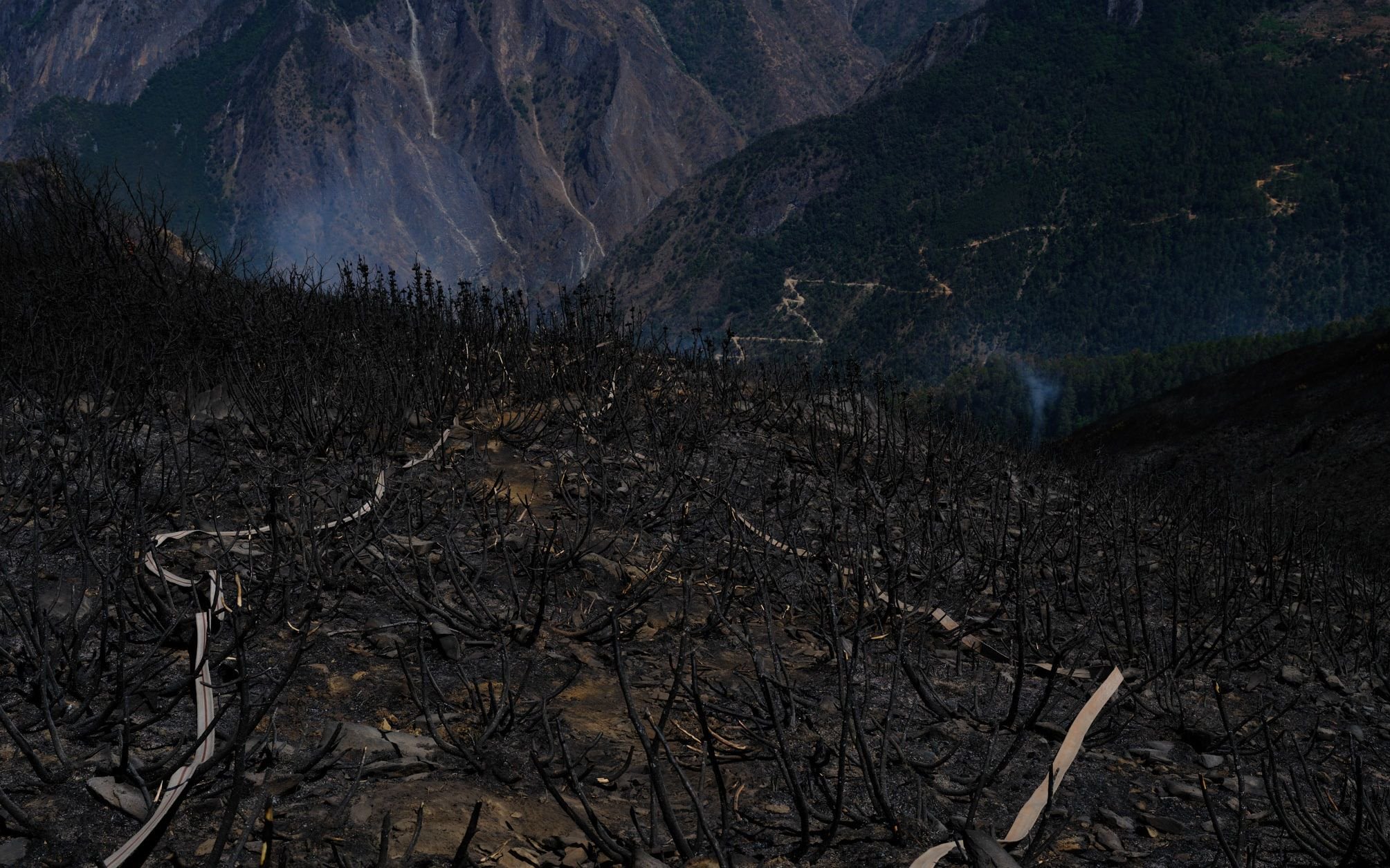 被撲滅的火場。圖源：四川省森林消防總隊