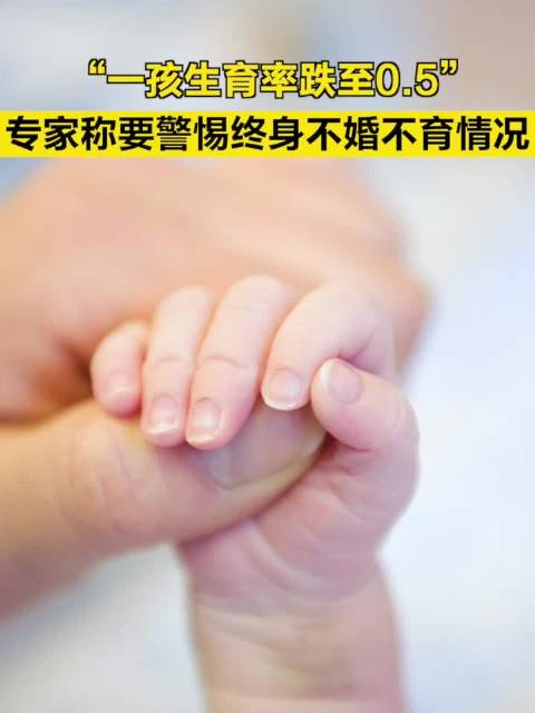 “一孩生育率跌至0.5”，专家称要警惕终身不婚不育情况_新浪新闻
