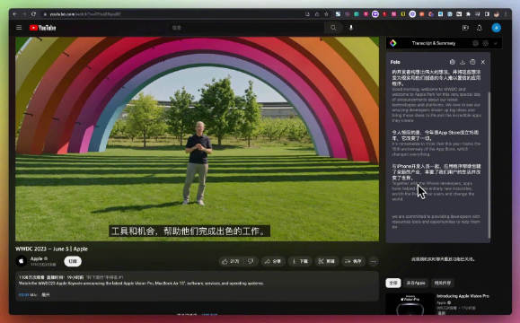 网页字幕怎么设置 谷歌与哔哩哔哩字幕使用方法