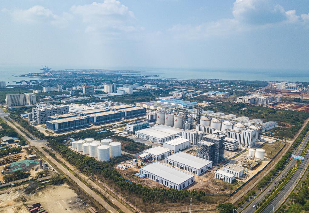 从对望到奔赴:粤港澳大湾区与海南自贸港相向而行