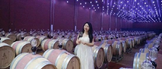 逛了宁夏19家酒庄 中国也有世界级品质的葡萄酒