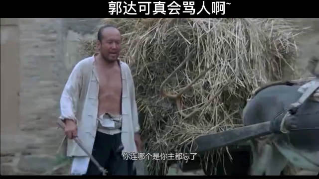 从骂驴看当代电影艺术的表现手法