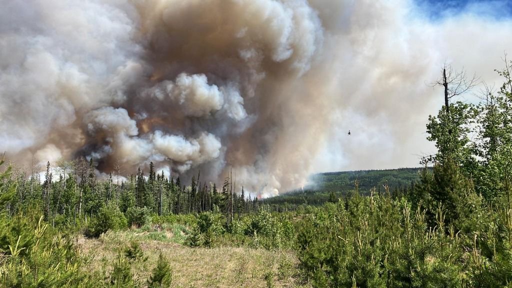 這是6月8日在加拿大不列顛哥倫比亞省西基斯卡蒂諾河附近拍攝的野火。新華社發（不列顛哥倫比亞省野火管理局供圖）