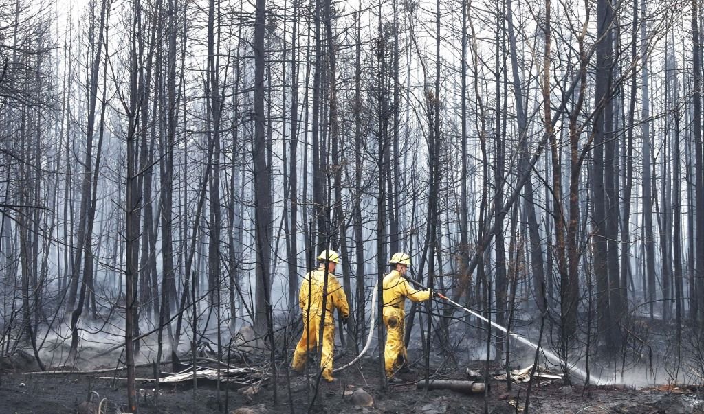 6月3日，消防員在加拿大新斯科舍省謝爾本縣的森林滅火。新華社發（新斯科舍省政府供圖）