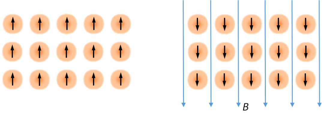 非易失信息存储迎来新手段：南大团队实现铁转序的电控翻转，研发基于圆偏振拉曼散射的实验方法