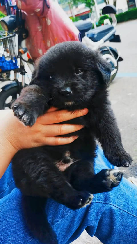 求解上海婚姻介绍机构哪家正规可靠？烦请告知