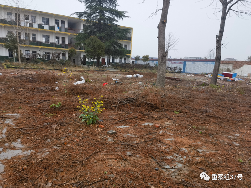 新京葡萄最新官网下载