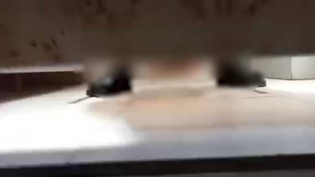 65岁老汉溜进女厕所偷拍被行拘 手机翻出隐私视频，为满足变态心理|女厕所|偷拍_新浪新闻