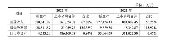 新金叶(合并口径)近两年主要财务情况