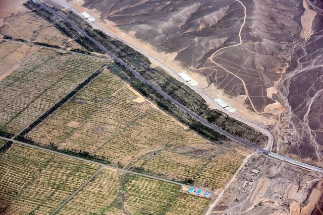 沙漠里应该大面积植树造林吗?国家林草局公开辟谣