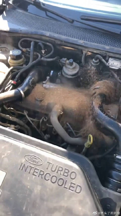 土法清除发动机积碳效果怎么样