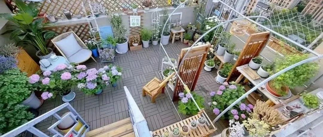 老公图便宜买顶楼带35㎡露台,入住1年后,被网友喊:愿意多花20万,快搬出去......|烧烤_新浪新闻