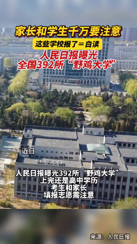 成都野鸡公园百元与两百元体验全解析大揭秘